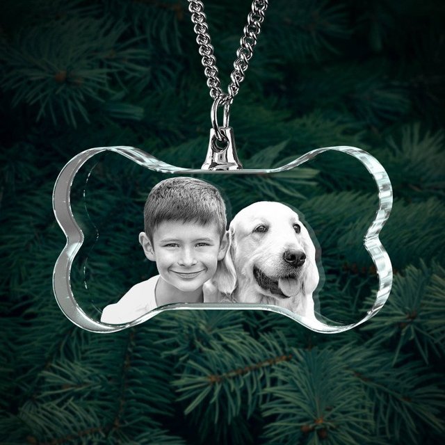Eternal Glow: Custom 3D Laser Engraved Crystal Bone Pet Necklace