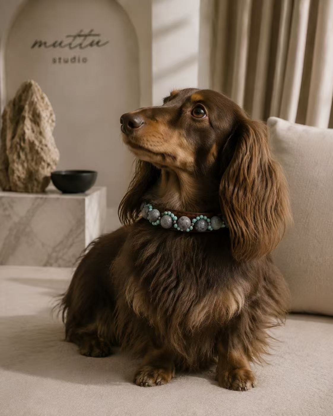 Crystal Charm Pet Collar