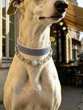 Muttu Celestial Aqua Crystal Dog Collar  Aqua Blue Crystal Pet Collar Front View