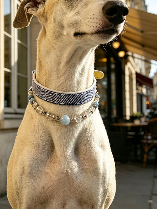 Muttu Celestial Aqua Crystal Dog Collar  Aqua Blue Crystal Pet Collar Front View