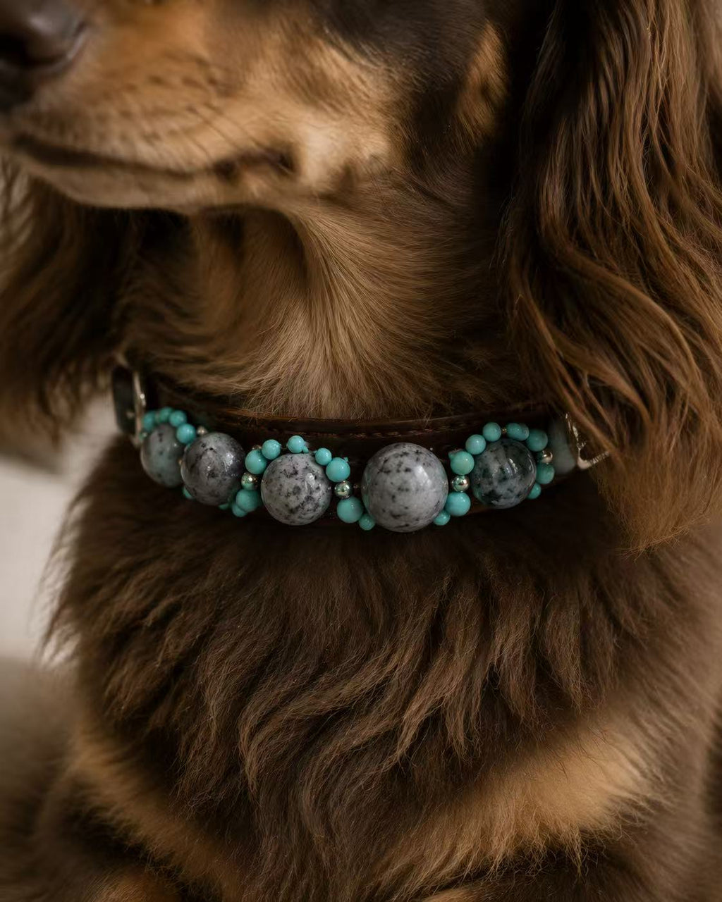 Crystal Charm Pet Collar