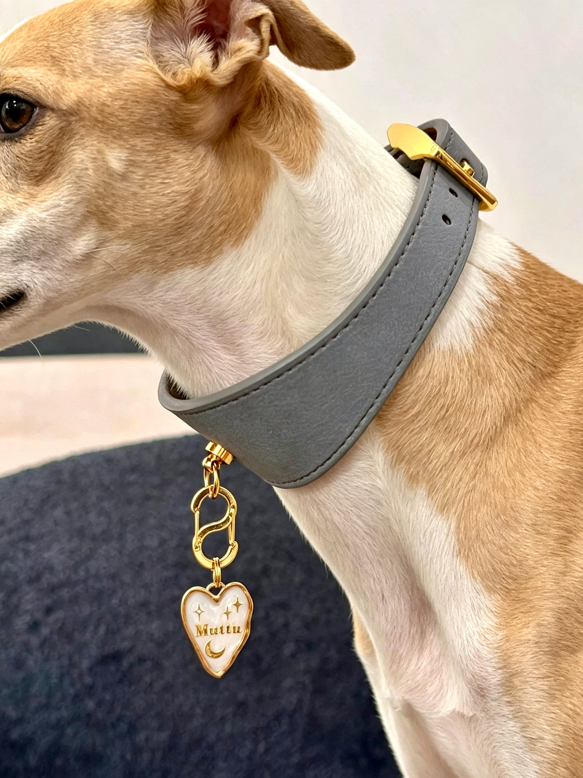 Faux Leather Pet Collar | Collar Only – Pendant Sold Separately | Muttu