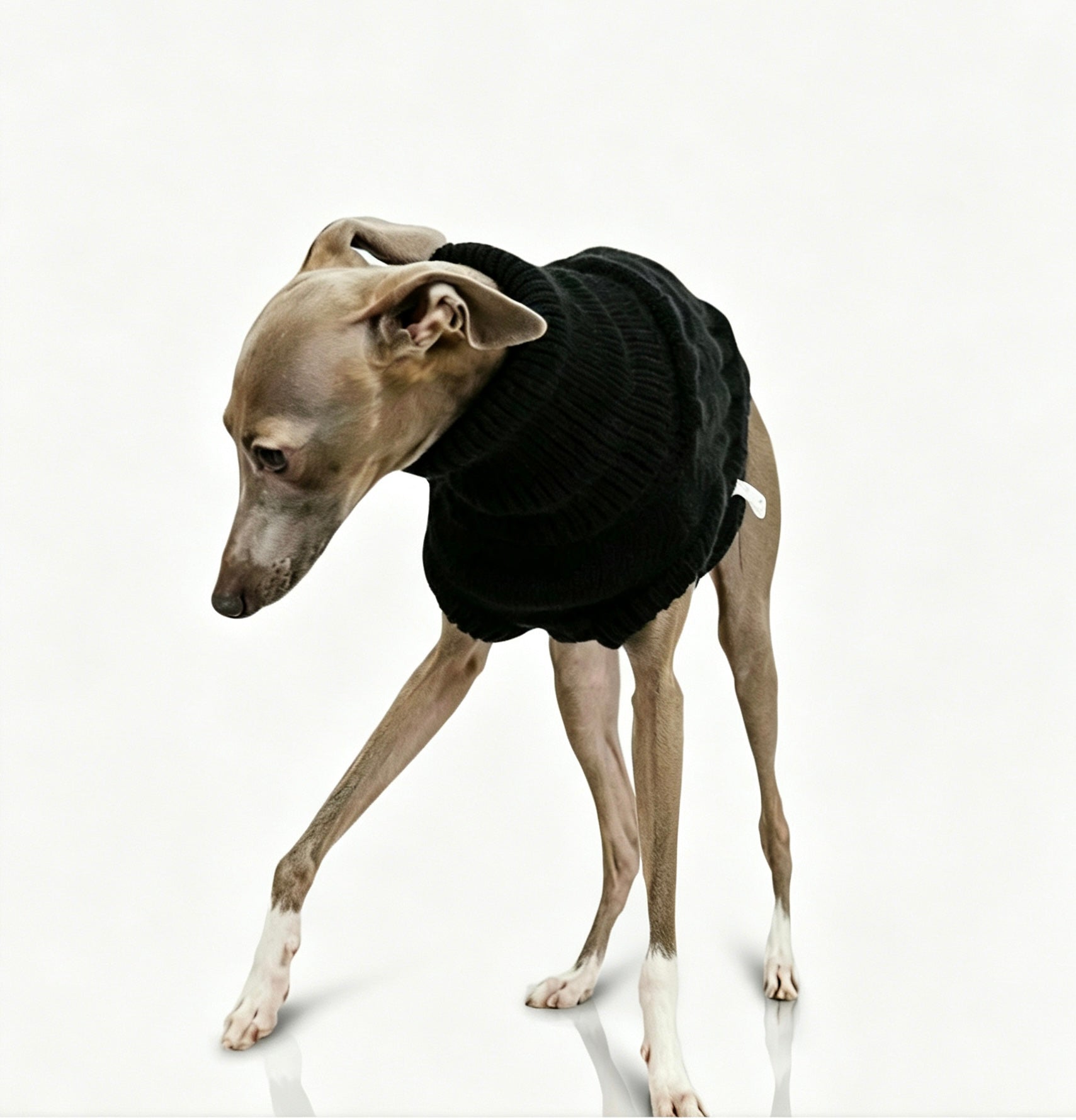 Greyhound Exclusive 黑色高领针织毛衣，粗针织纹理，宽松套头款式