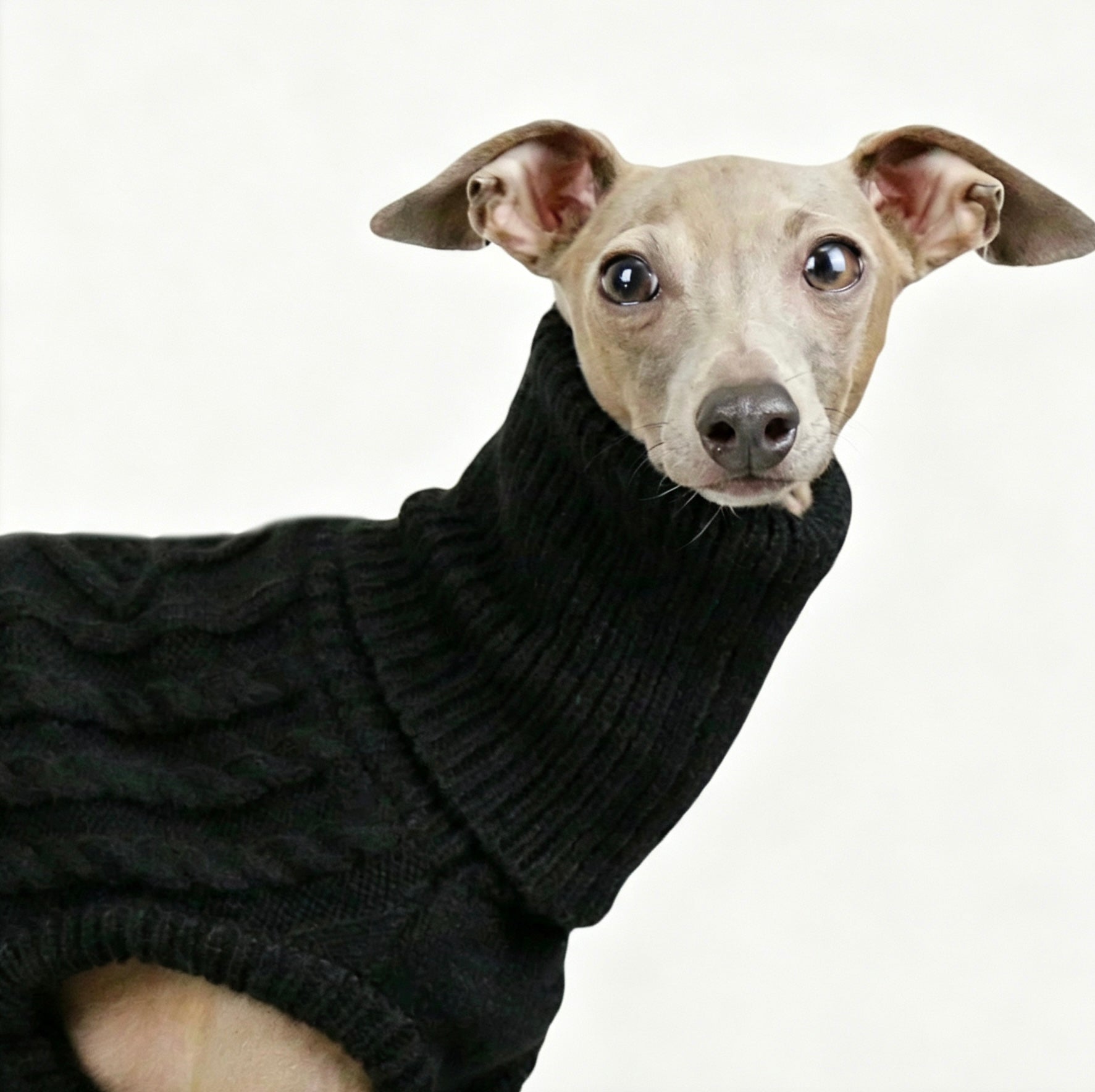 Greyhound Exclusive 黑色高领针织毛衣，领口厚实罗纹，贴合胸前