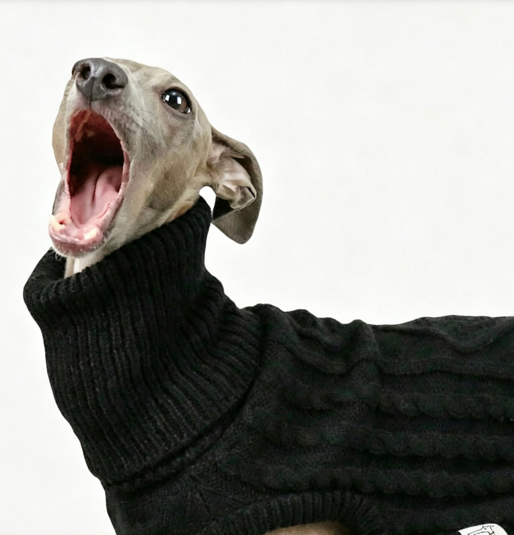 Greyhound Exclusive 黑色高领针织毛衣，竖向罗纹质感，犬只头部穿孔处明显