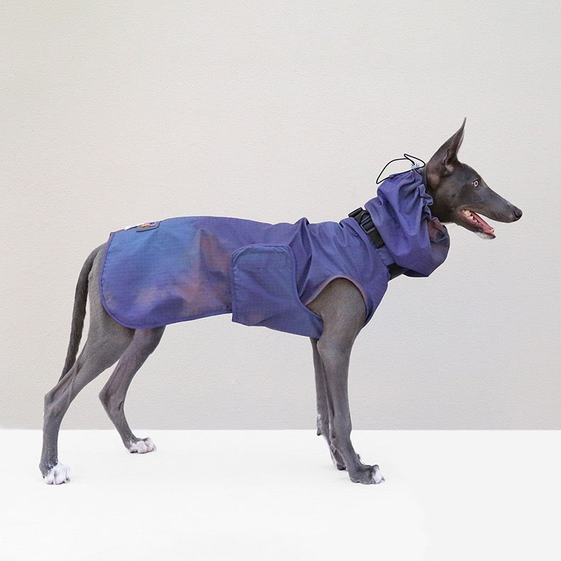 Muttu Windproof Sighthound Jacket - Italian Greyhound Wearing Purple Outdoor Dog Coat
