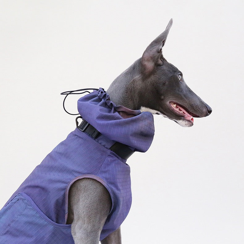 Muttu Windproof Sighthound Jacket - Italian Greyhound Wearing Purple Outdoor Dog Coat