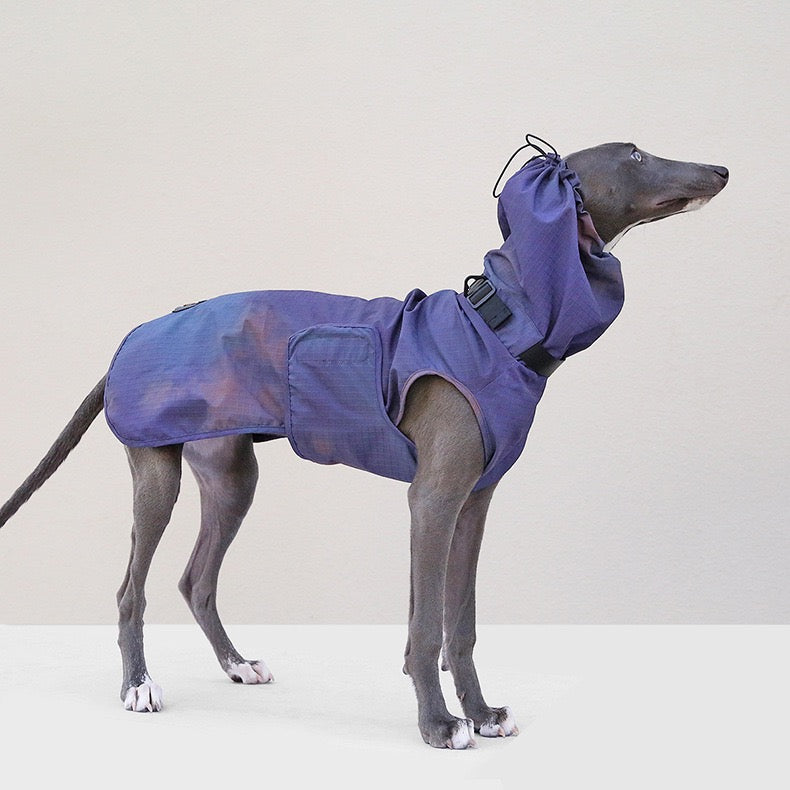 Muttu Windproof Sighthound Jacket - Italian Greyhound Wearing Purple Outdoor Dog Coat