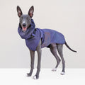 Muttu Windproof Sighthound Jacket - Back View Lightweight Dog Jacket