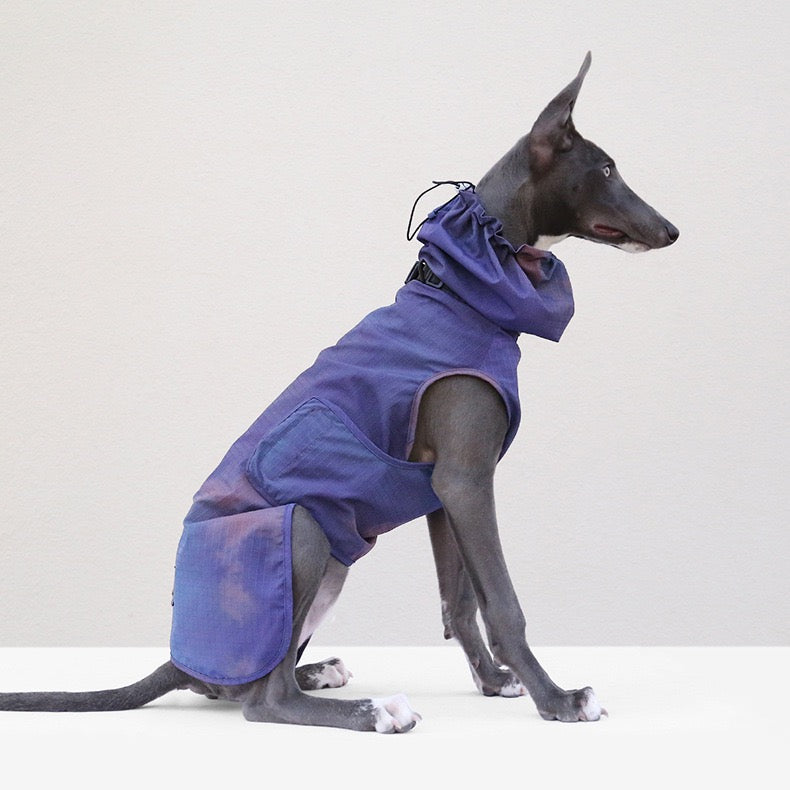 Muttu Windproof Sighthound Jacket - Italian Greyhound Wearing Purple Outdoor Dog Coat