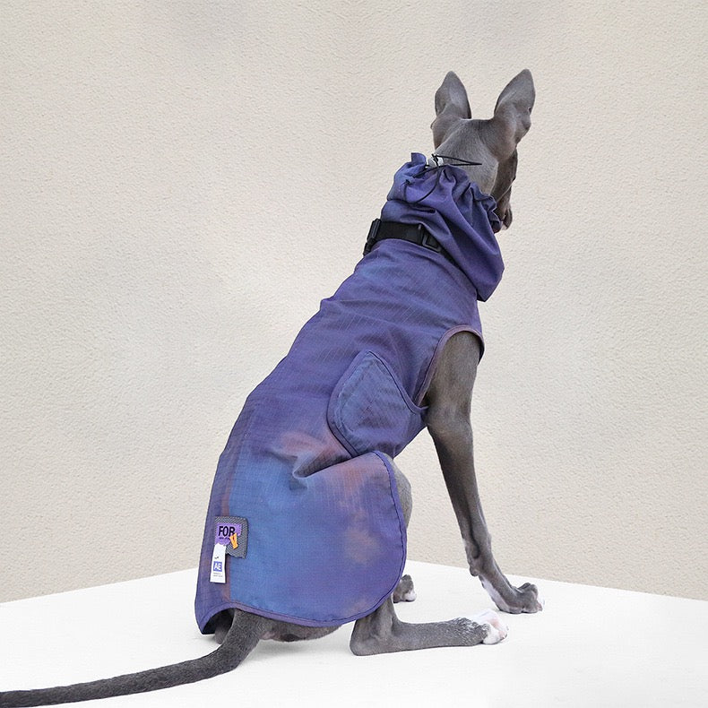 Muttu Windproof Sighthound Jacket - Italian Greyhound Wearing Purple Outdoor Dog Coat