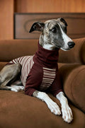 Muttu Greyhound Turtleneck Knit Sweater - Black Knit Sweater for Greyhounds Front View