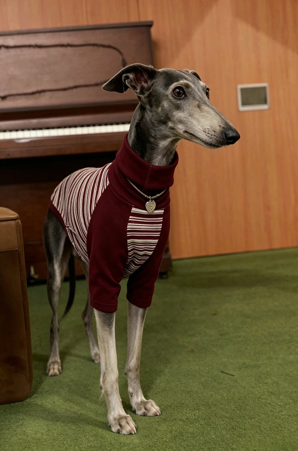 Muttu Greyhound Turtleneck Knit Sweater - Warm Dog Sweater for Sighthounds