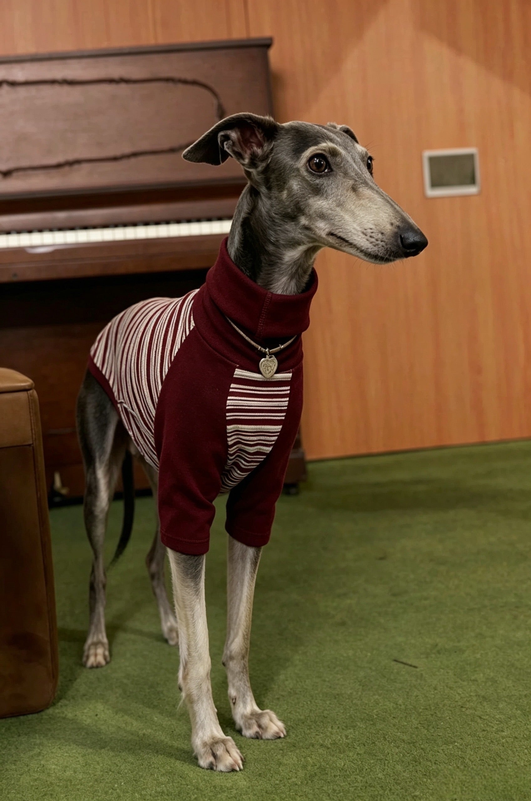 Muttu Greyhound Turtleneck Knit Sweater - Warm Dog Sweater for Sighthounds