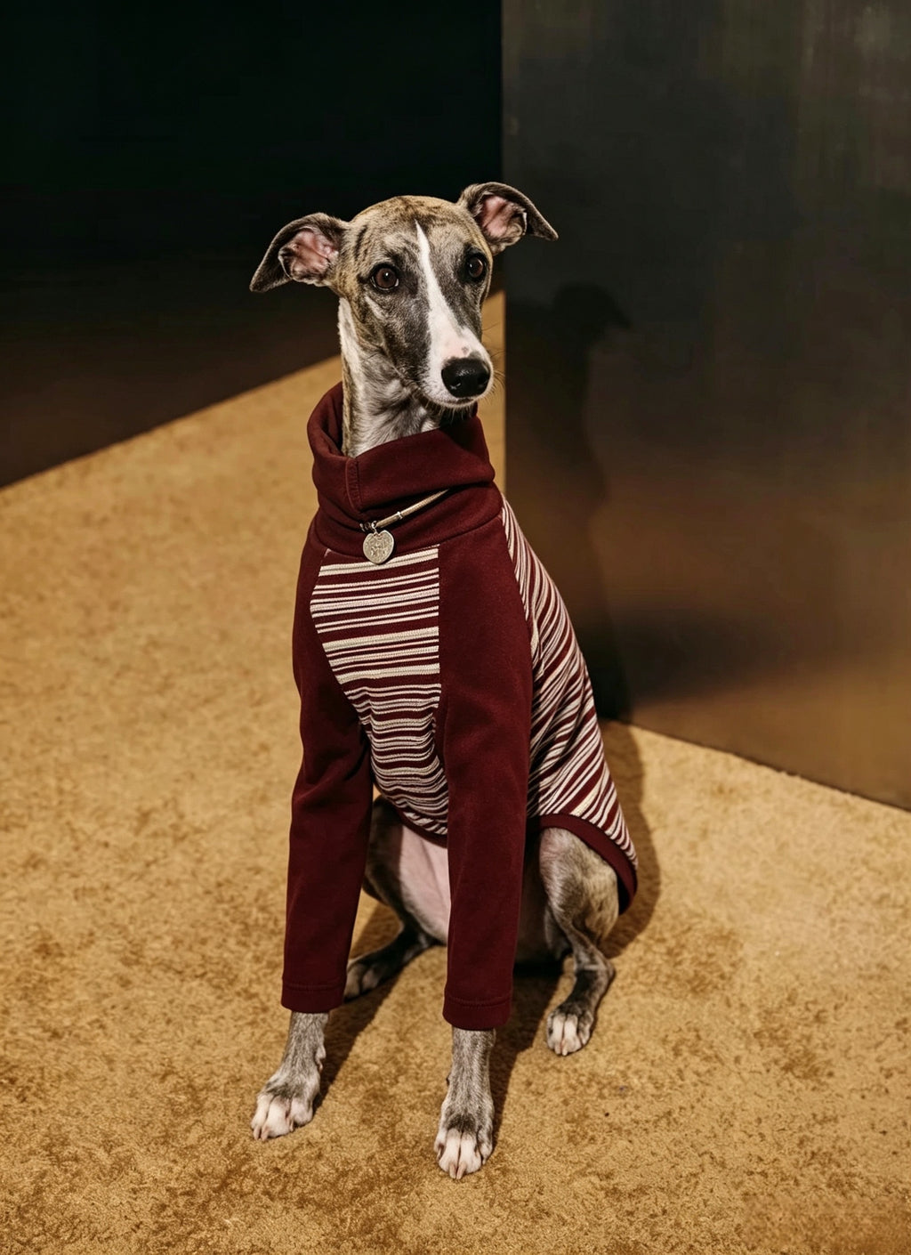 Muttu Greyhound Turtleneck Knit Sweater - Greyhound Wearing Black Turtleneck Sweater