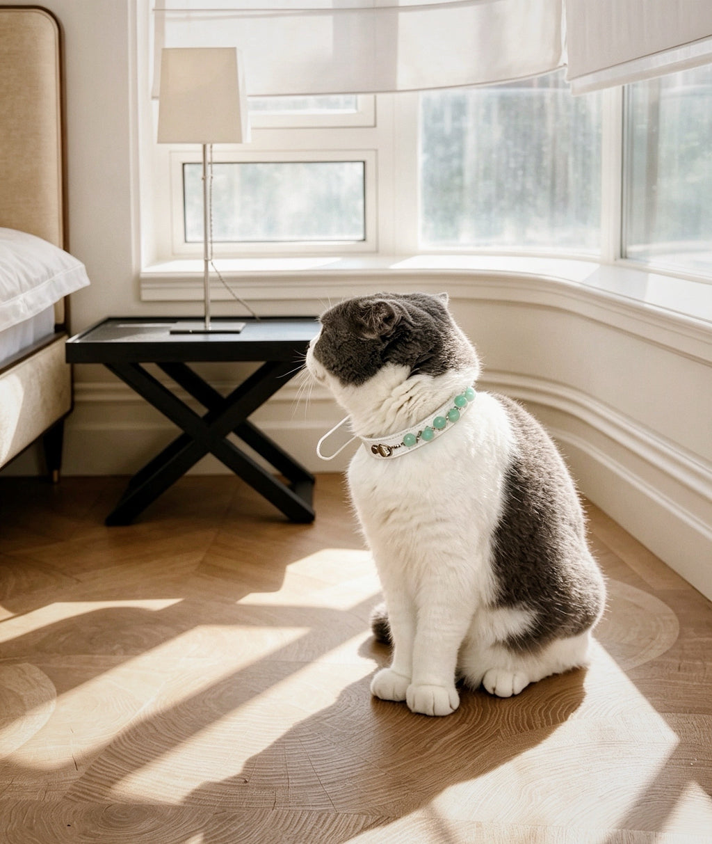 Crystal Charm Pet Collar – Handmade Natural Crystal and Amazonite Collar for Cats and Dogs