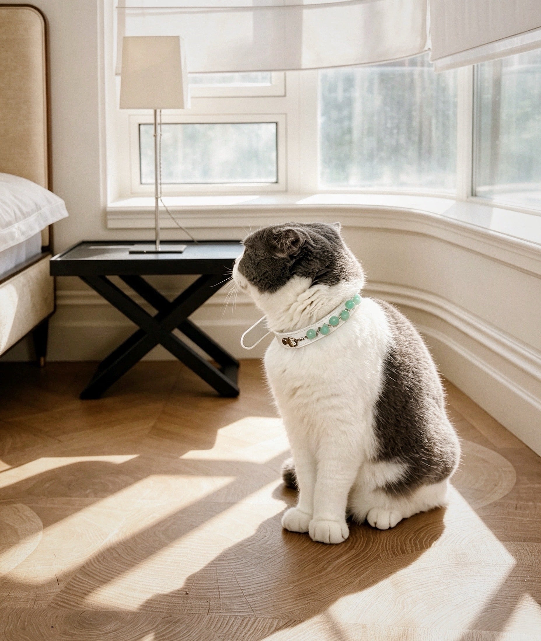 Crystal Charm Pet Collar – Handmade Natural Crystal and Amazonite Collar for Cats and Dogs