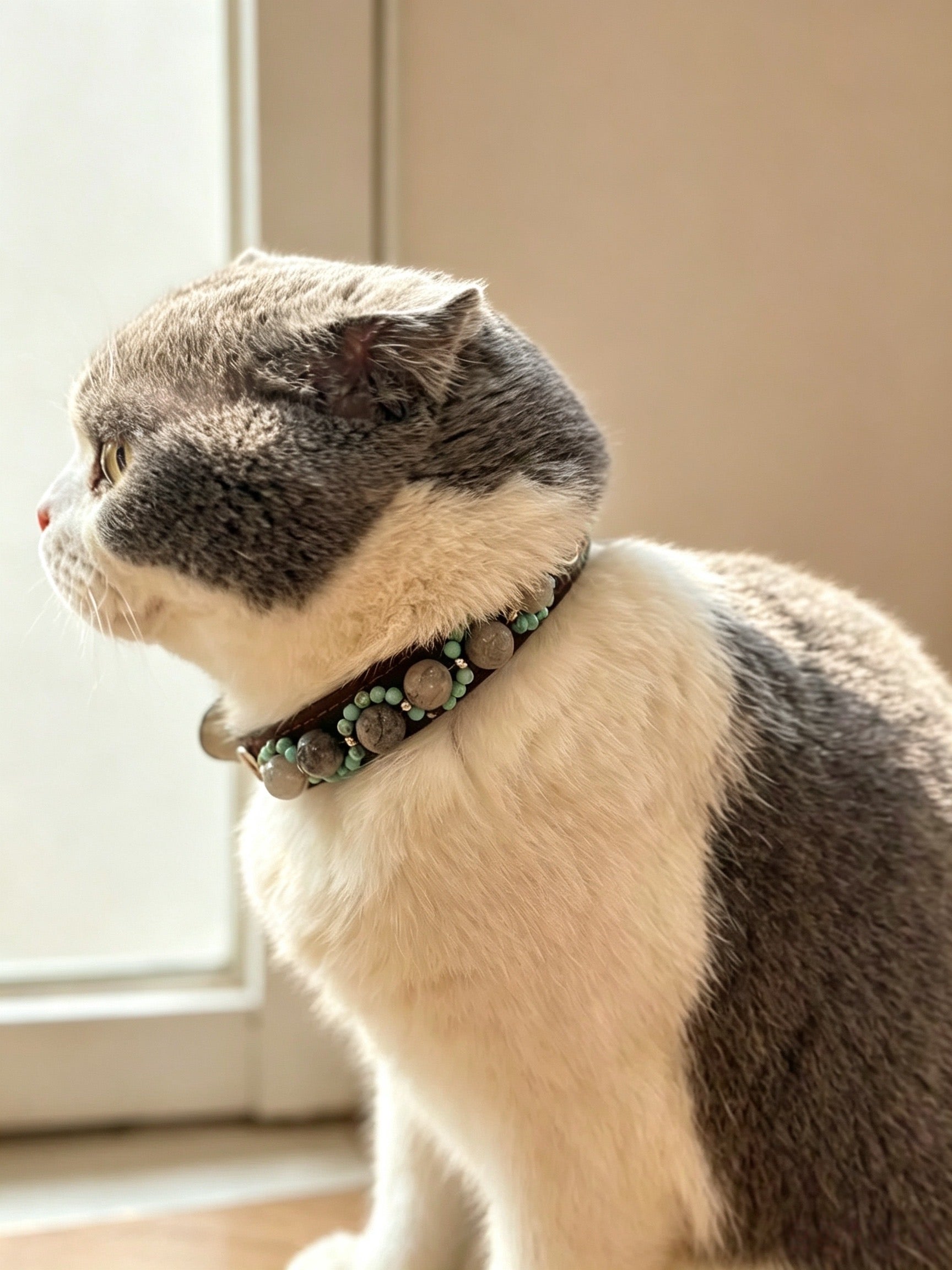 Crystal Charm Pet Collar