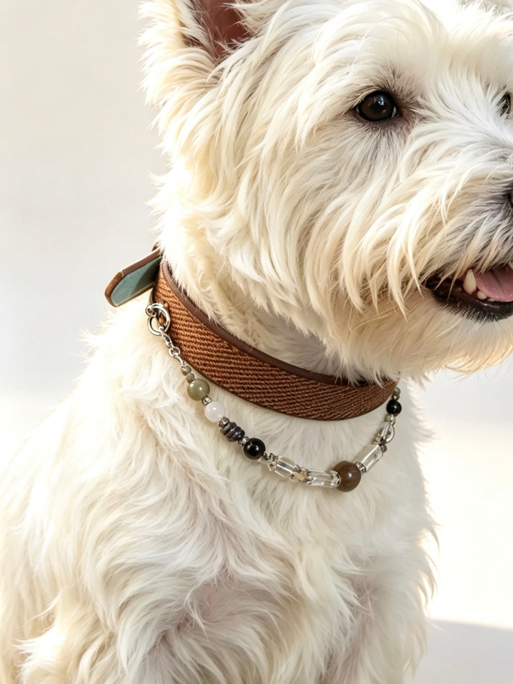 Onyx Crystal Necklace Dog  Collar