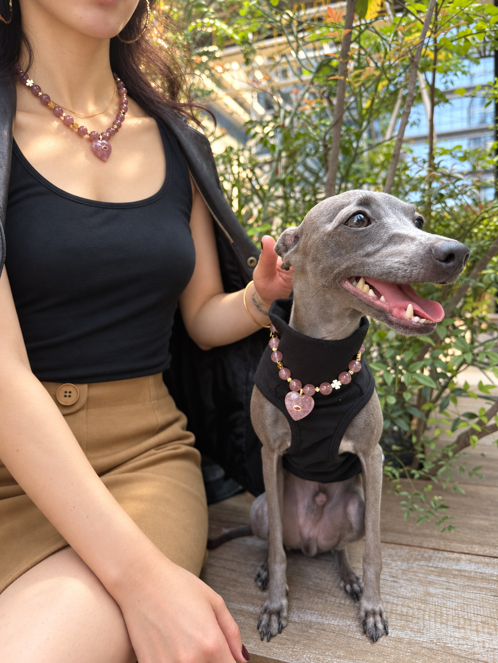 Amora Pet Crystal Necklace