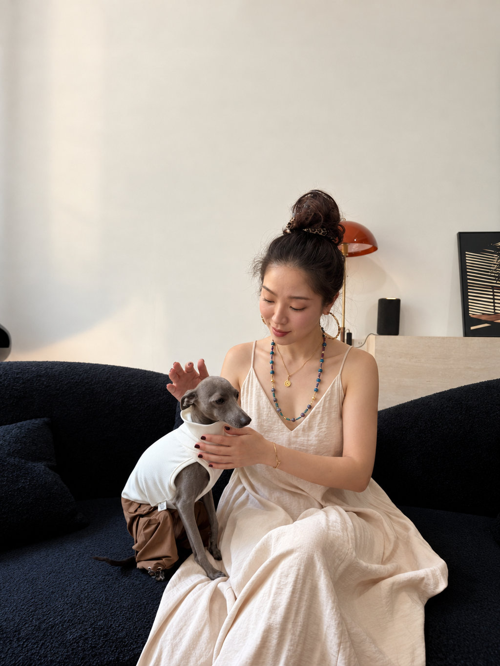 A person holding Dobby, a blue-gray dog wearing a white outfit and blue and purple crystal collar, in a lifestyle setting.