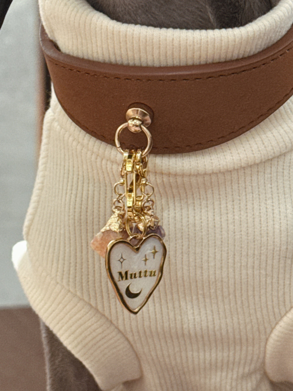 Faux Leather Pet Collar | Collar Only – Pendant Sold Separately | Muttu