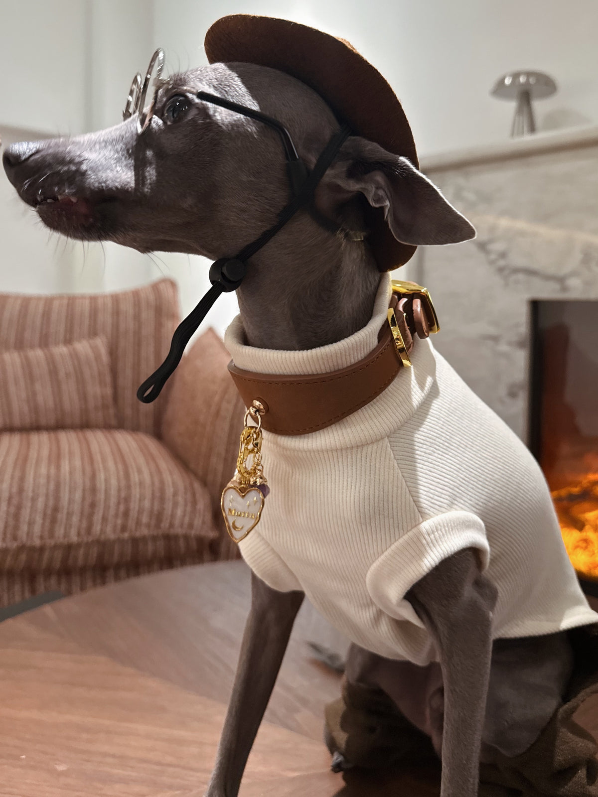 Faux Leather Pet Collar | Collar Only – Pendant Sold Separately | Muttu