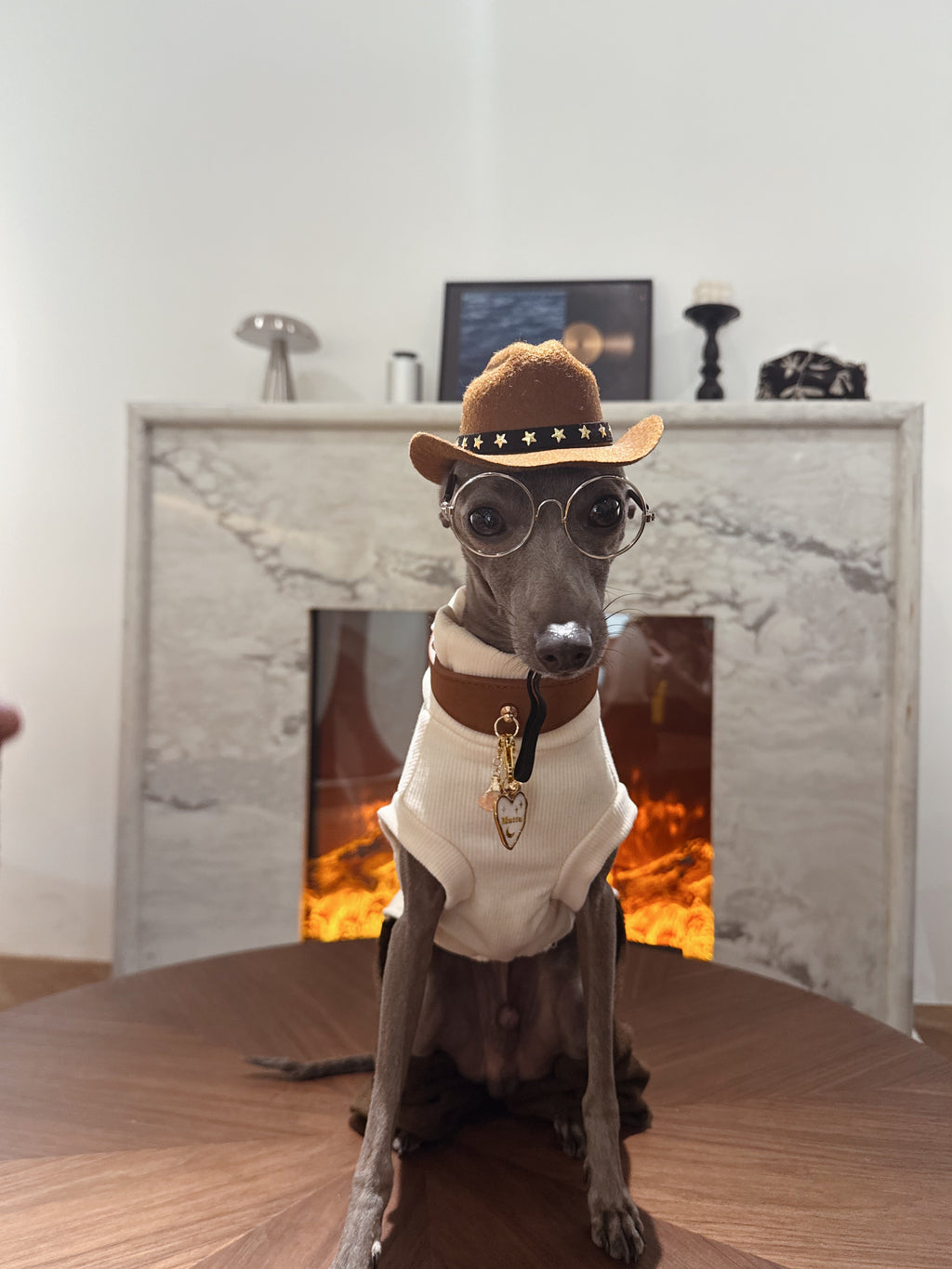 Faux Leather Pet Collar | Collar Only – Pendant Sold Separately | Muttu