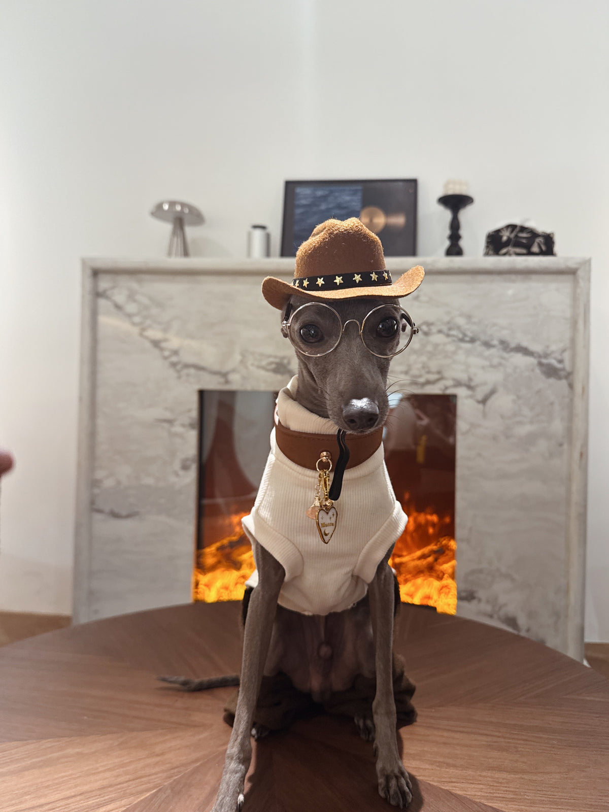 Faux Leather Pet Collar | Collar Only – Pendant Sold Separately | Muttu