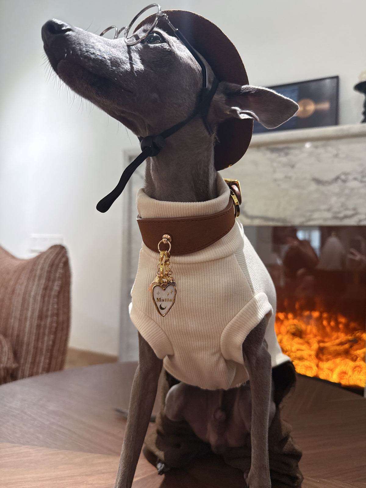 Faux Leather Pet Collar | Collar Only – Pendant Sold Separately | Muttu