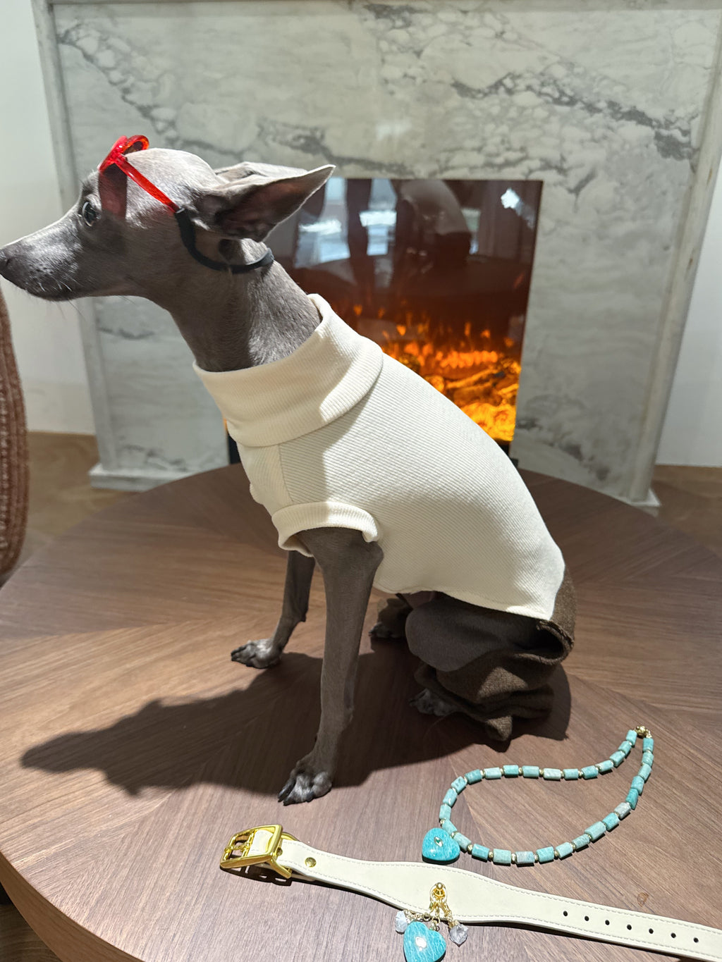 Italian Greyhound with red sunglasses seated by fireplace showcasing white leather collar with green crystal heart charm – Muttu
