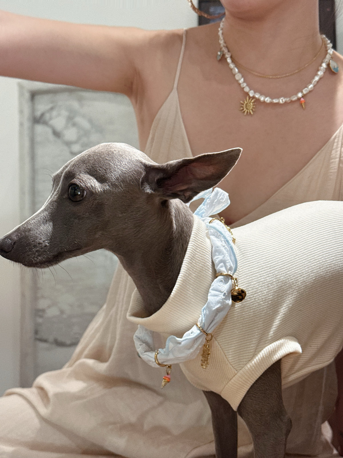 Close-up of woman wearing the Thalassa natural shell necklace with sun charm paired with Italian Greyhound in matching ocean ruffled collar