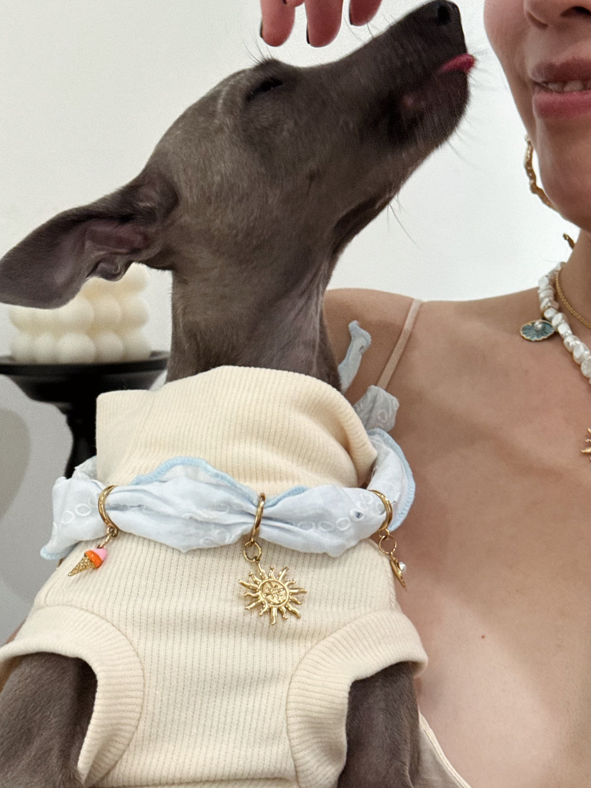 Naiad Pet Crystal Necklace