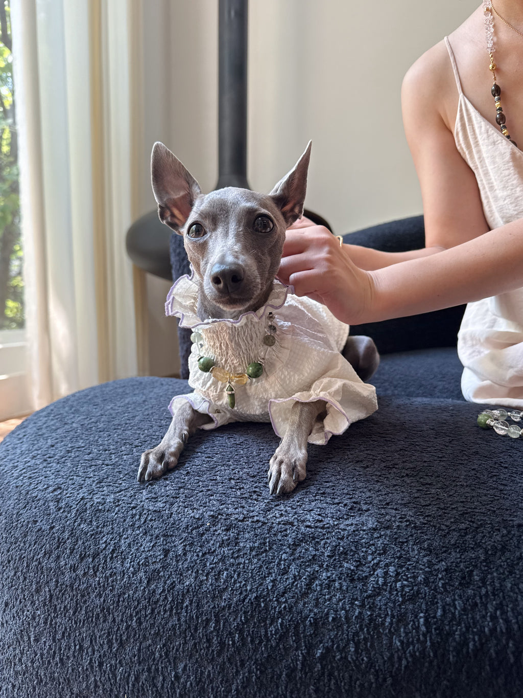 Musk Pet Crystal Necklace