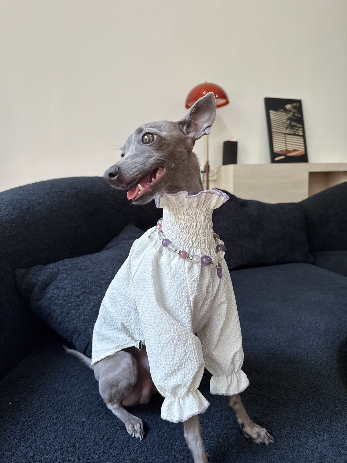 he handcrafted Selene crystal dog necklace