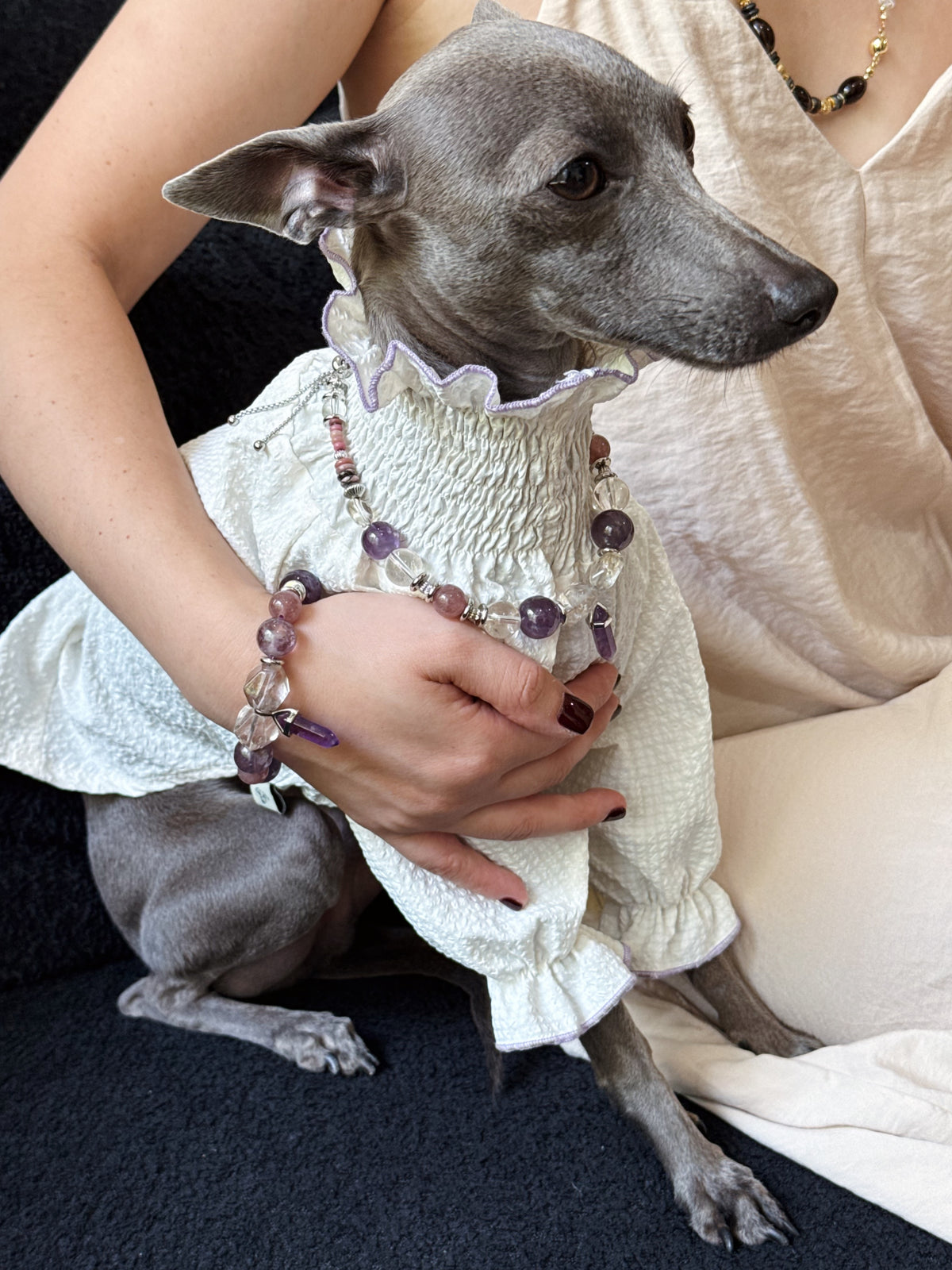 Matching crystal jewelry set for owner and pet: Italian Greyhound wearing Selene necklace paired with owner's matching crystal bracelet