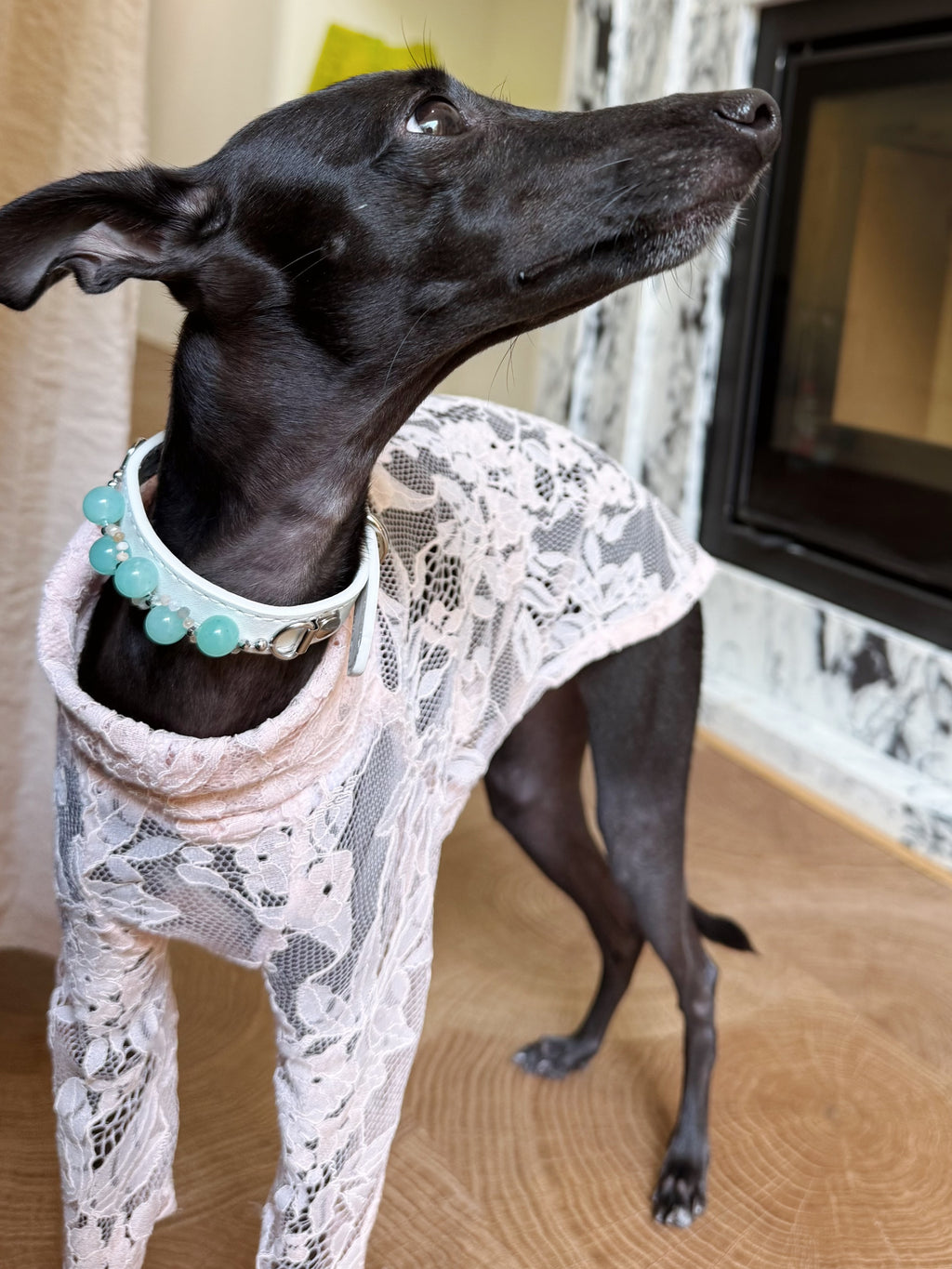 Side portrait close-up of a black dog wearing the white leather crystal charm collar with round green amazonite gemstones
