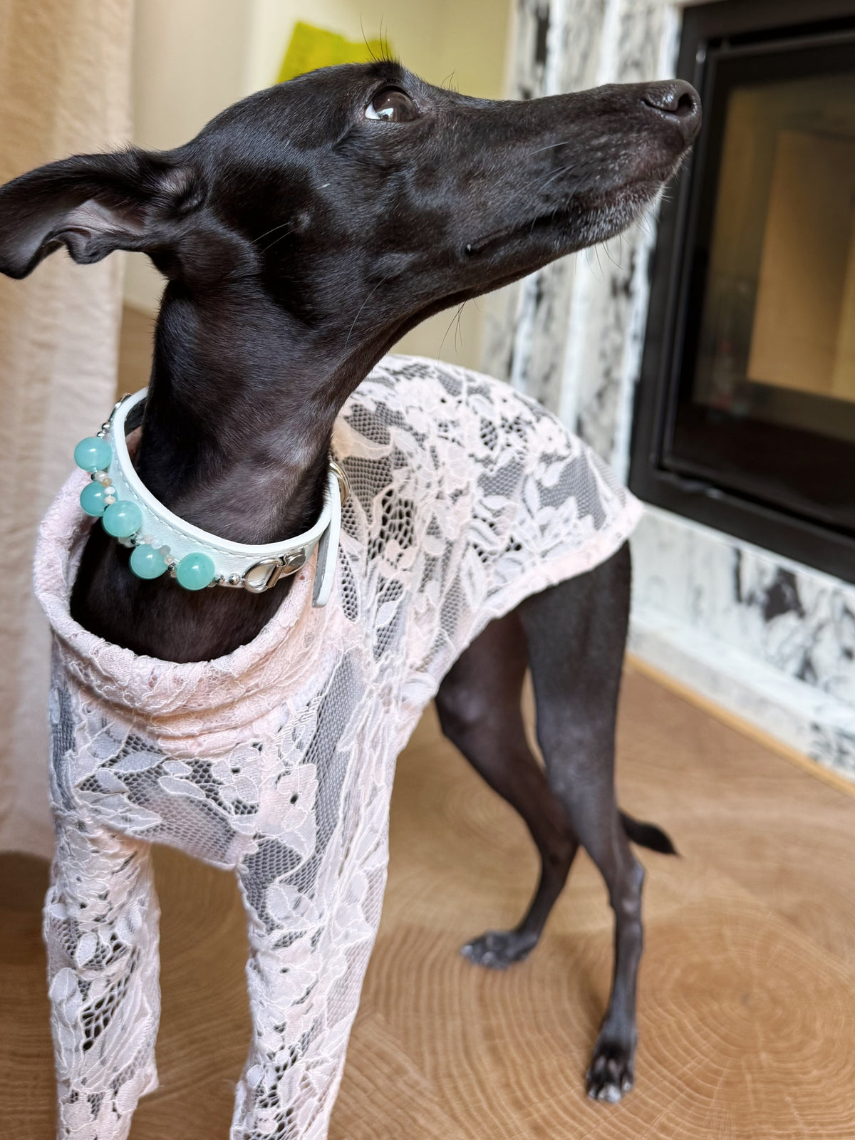 Side portrait close-up of a black dog wearing the white leather crystal charm collar with round green amazonite gemstones
