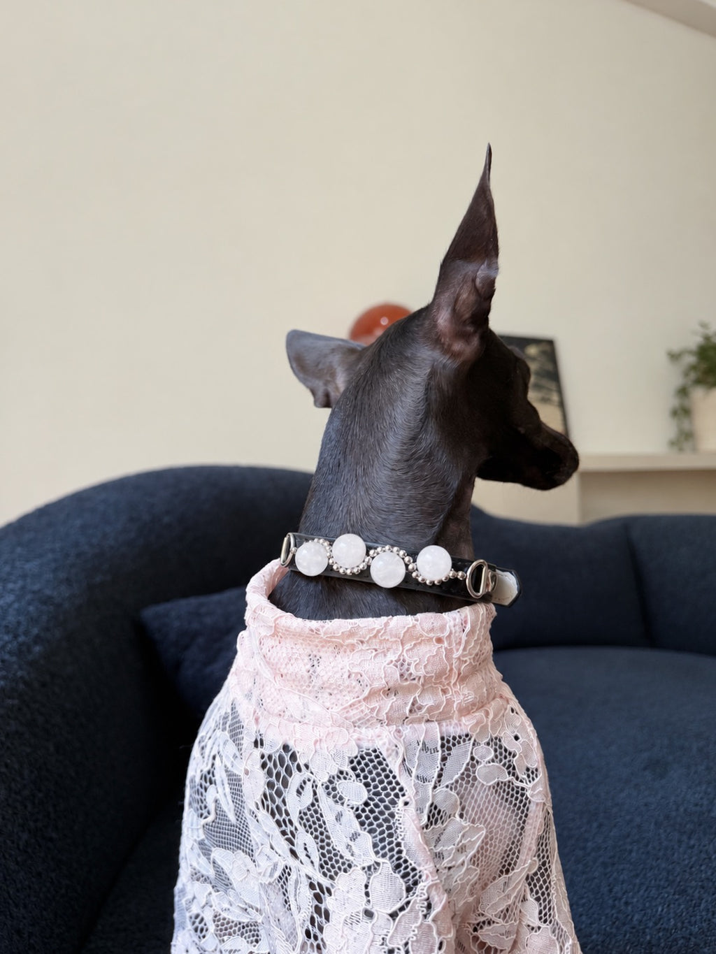 Black Italian Greyhound sitting on a couch in a lace shirt wearing the luxury pink strawberry quartz crystal collar