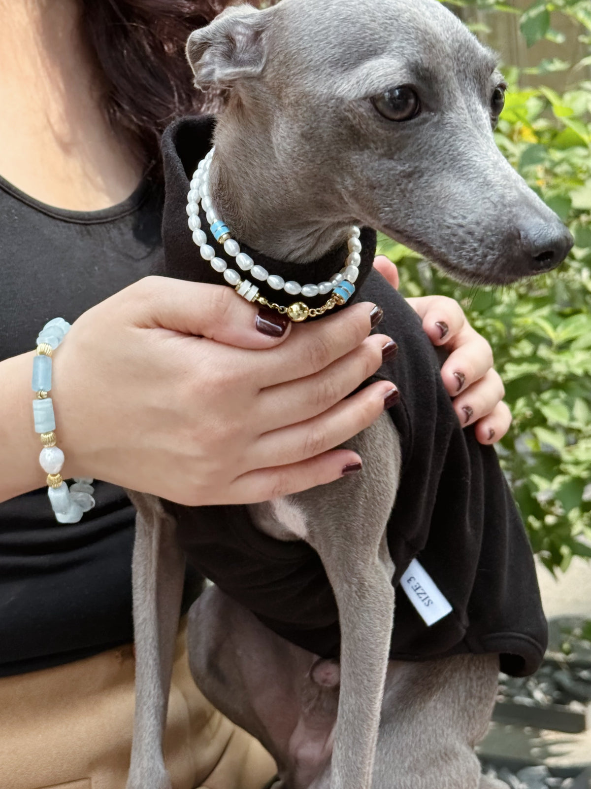 Woman styling the Tidal Isle 2-in-1 magnetic pearl necklace on an Italian Greyhound while wearing the matching aquamarine bracelet