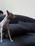 Celestial Aqua Crystal Dog Collar|MUTTU