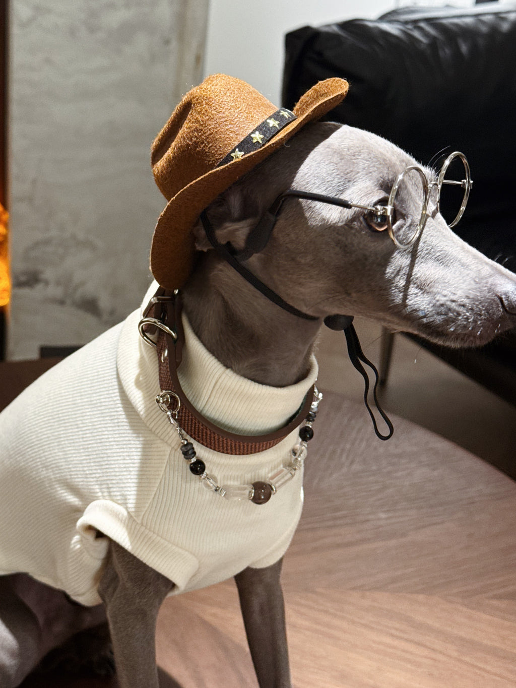Italian Greyhound wearing retro glasses and hat styling the Onyx dog collar with detachable gemstone necklace chain