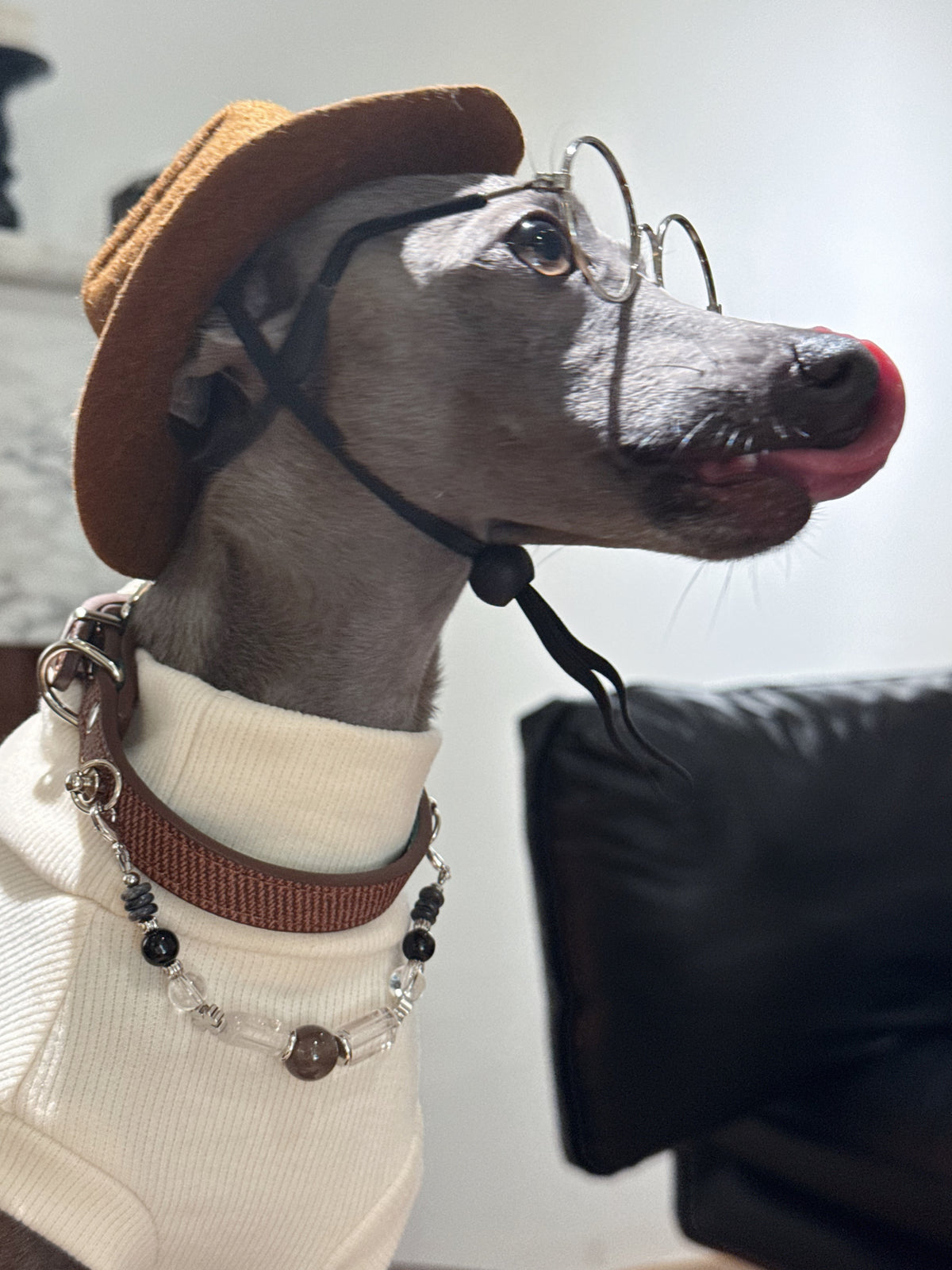 Playful Italian Greyhound sticking its tongue out while wearing vintage glasses and the luxury Onyx crystal pet collar
