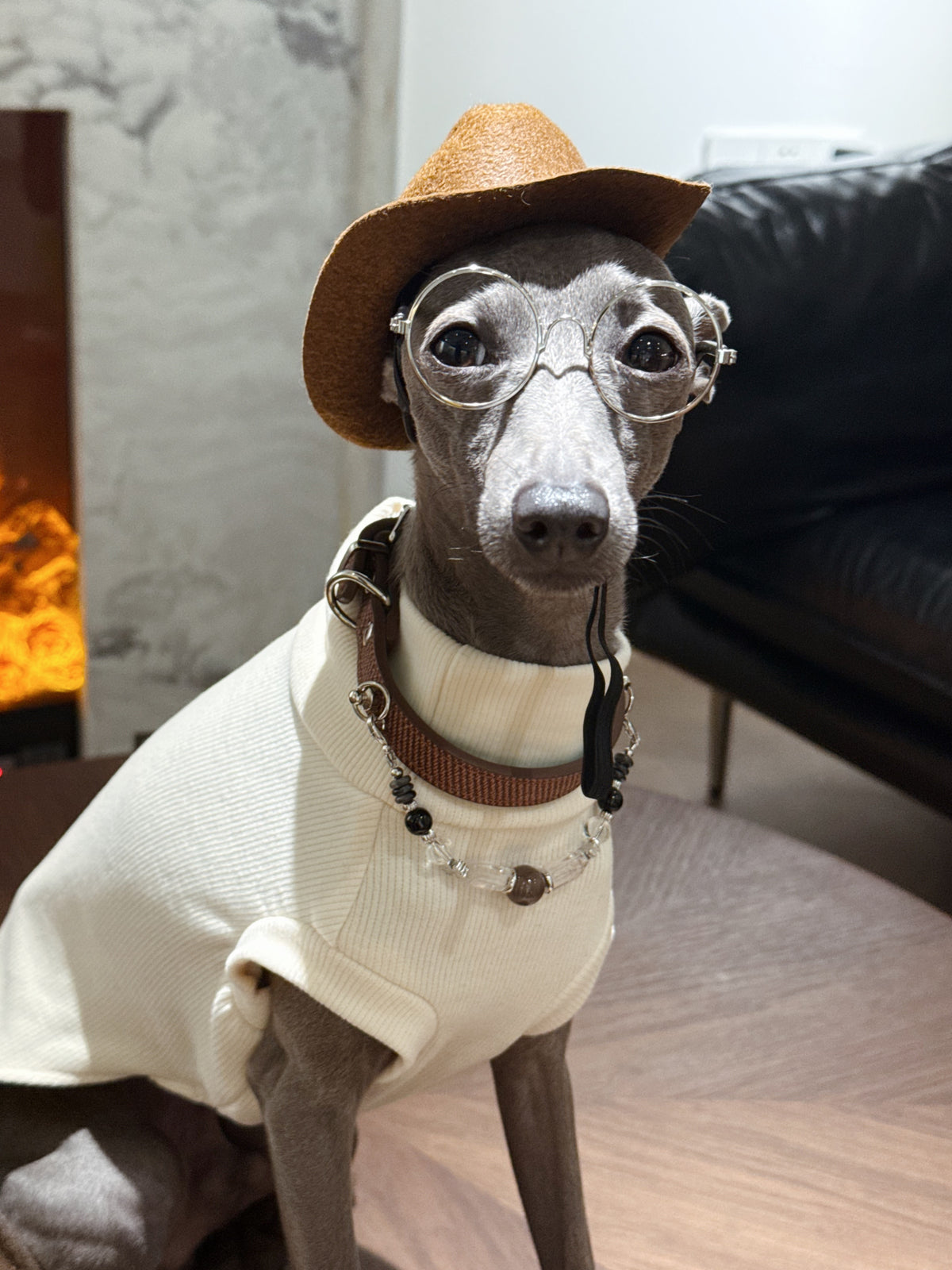 Front view of Italian Greyhound wearing round glasses and the Onyx crystal pet collar with smoky agate and clear quartz beads
