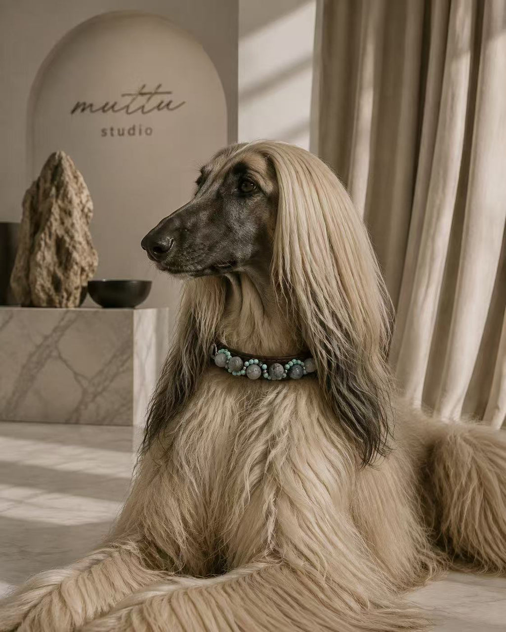Crystal Charm Pet Collar