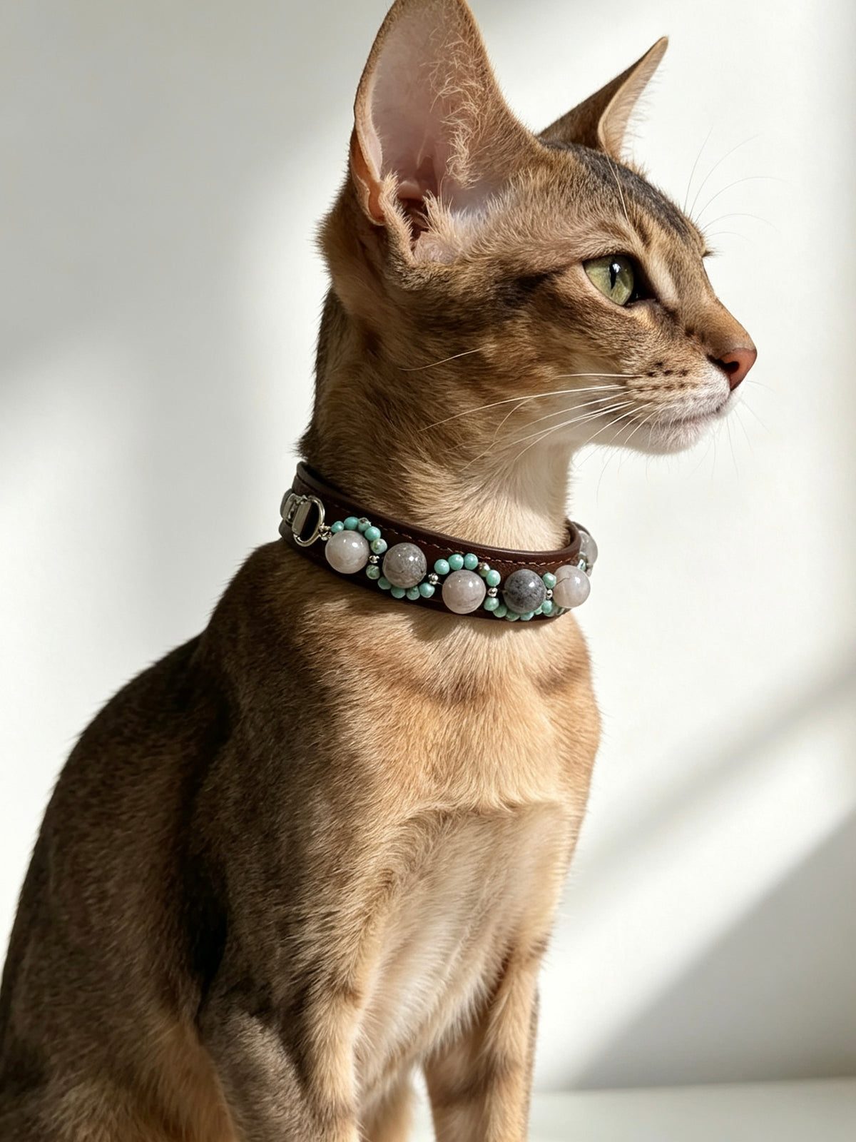 Crystal Charm Pet Collar