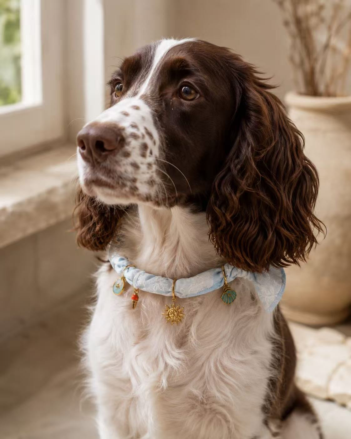 looking up gracefully, showcasing a stylish light blue Muttu collar with dangling charms in a natural, sunlit setting.