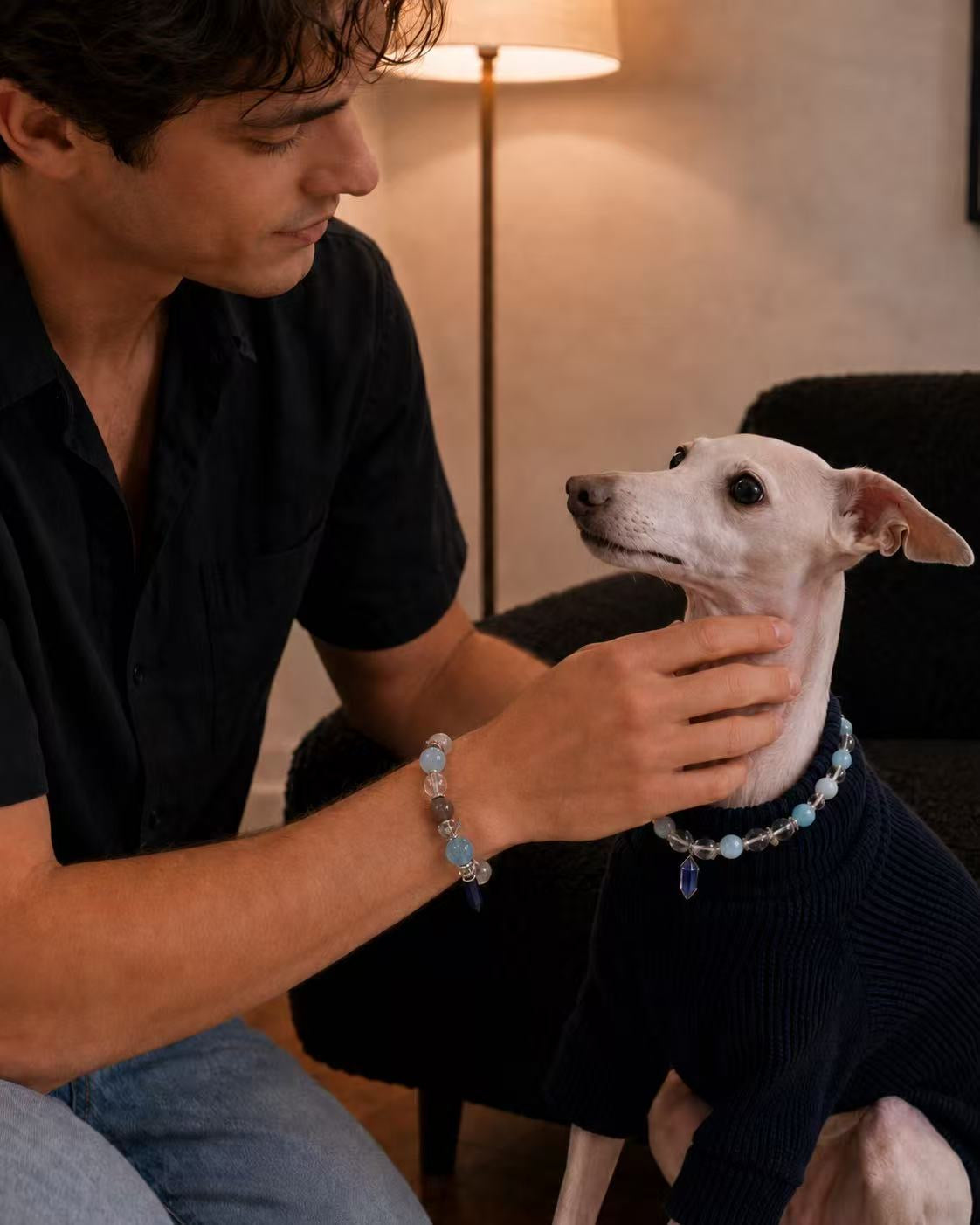 A man gently petting his Italian Greyhound on a dark sofa. The man wears a Muttu crystal bracelet, and the dog wears a matching crystal pet collar.