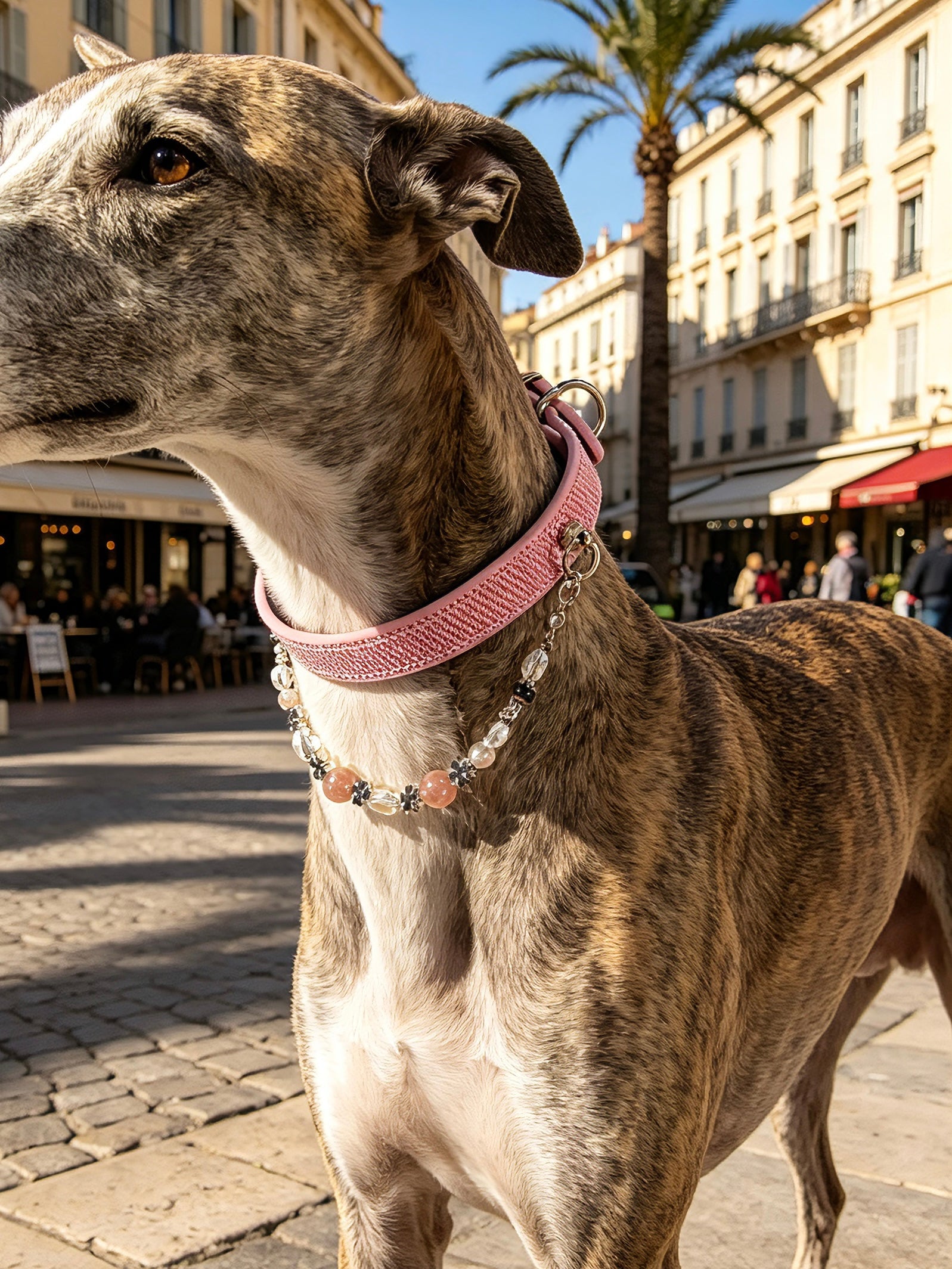 Rosae Crystal Necklace Dog Collar
