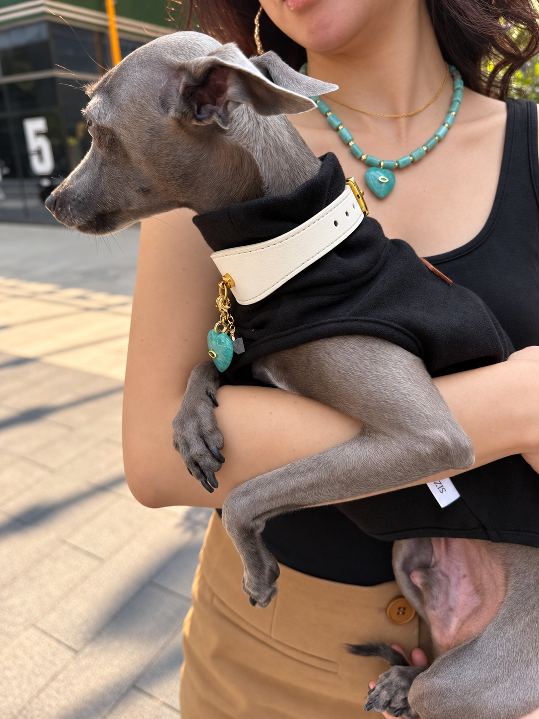 Pet parent holding Italian Greyhound outdoors showcasing matching green amazonite gemstone necklace and pet collar charm – Muttu
